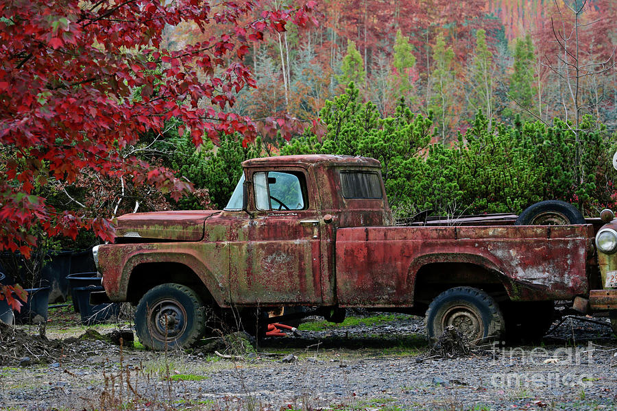 Tree Photograph - Autumn Vintage Truck by American School