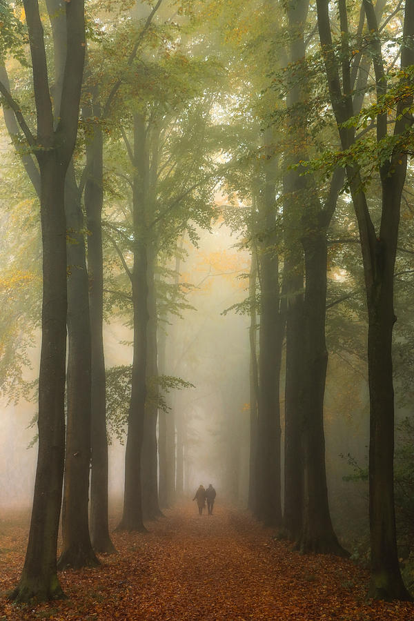 Autumn Walk Photograph by Hilda Van Der Lee