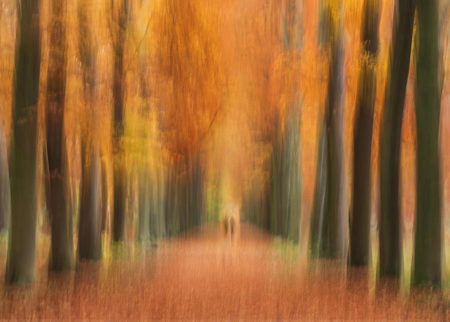 Fantasy Photograph - Autumn Walk by Liliane Lathouwers