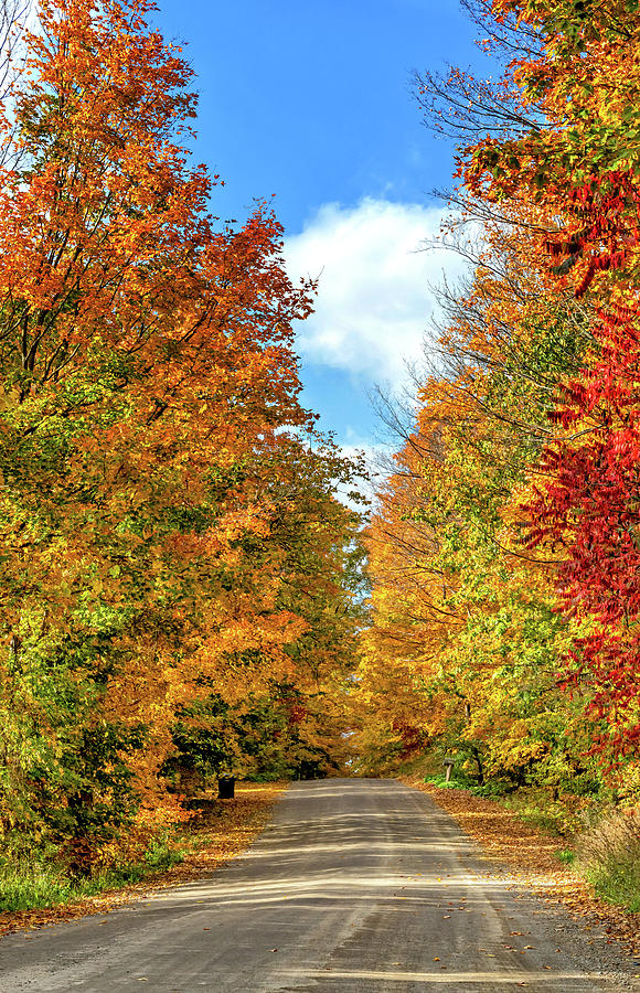 Autumn Wandering - Ontario Backroads 11 Photograph by Steve Harrington