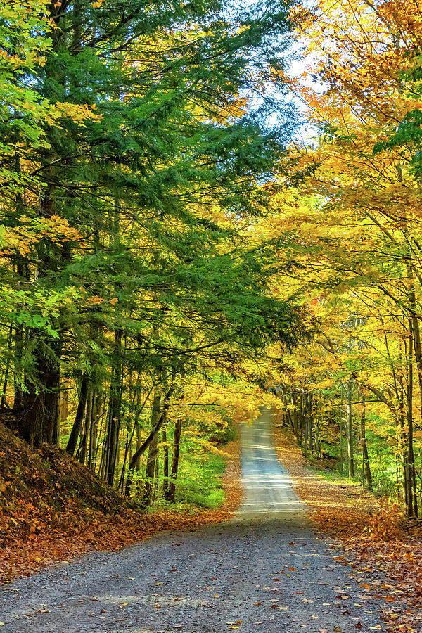 Autumn Wandering - Ontario Backroads 12 Photograph by Steve Harrington