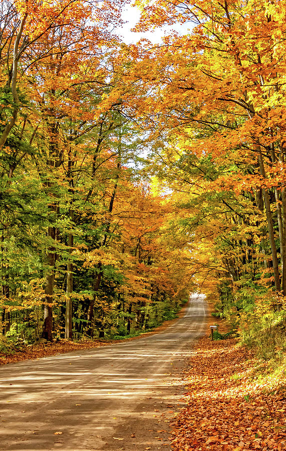 Autumn Wandering - Ontario Backroads 2 Photograph by Steve Harrington ...