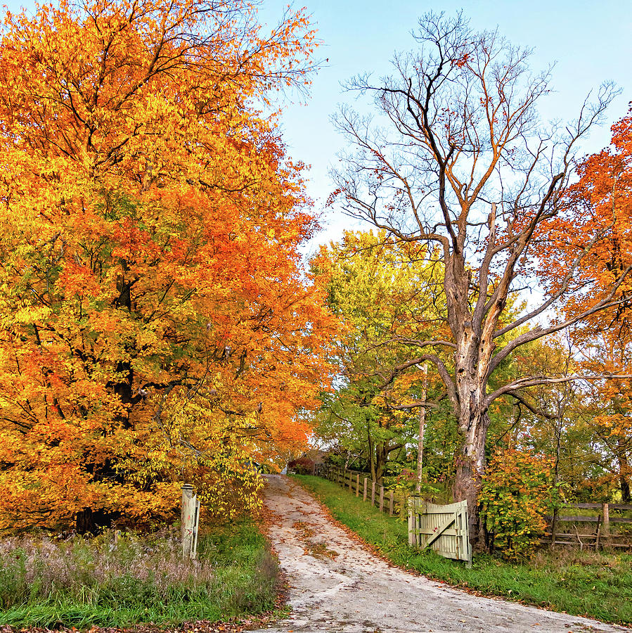 Autumn Wandering - Ontario Backroads 4 Photograph