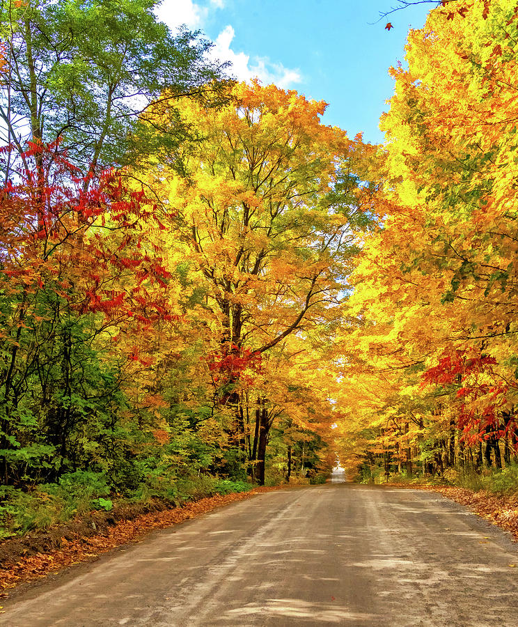 Autumn Wandering - Ontario Backroads 6 - Paint Photograph by Steve ...