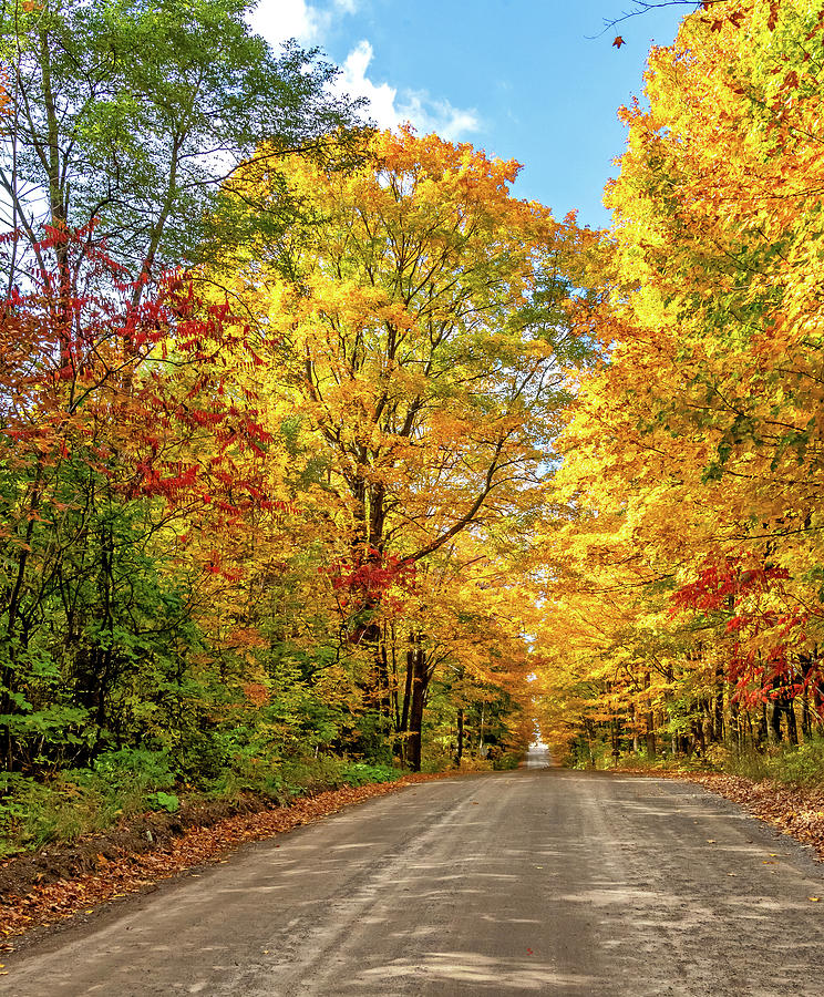 Fall Photograph - Autumn Wandering - Ontario Backroads 6 by Steve Harrington