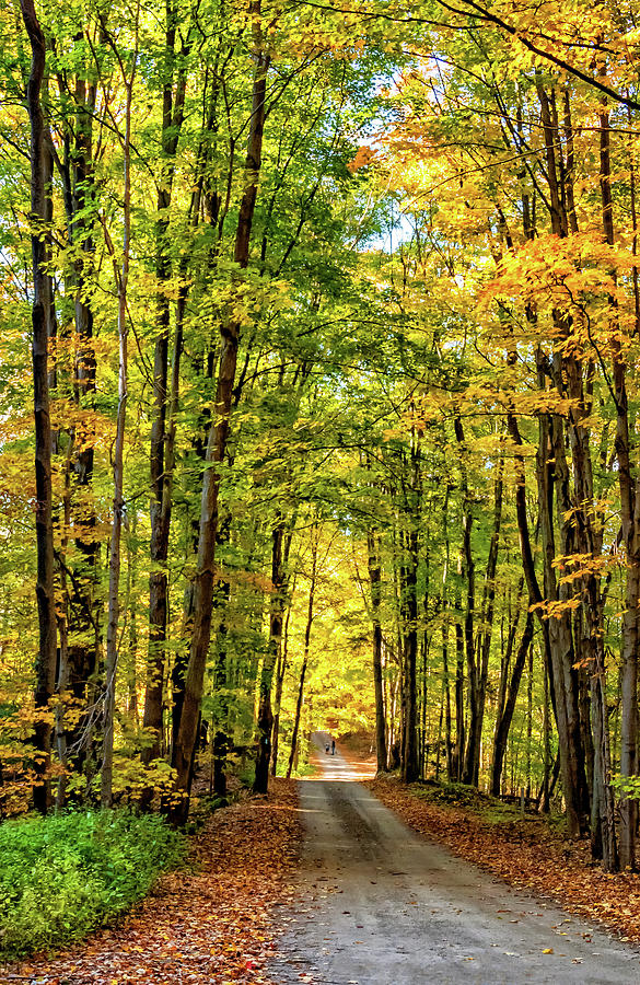 Autumn Wandering - Ontario Backroads 9 Photograph by Steve Harrington