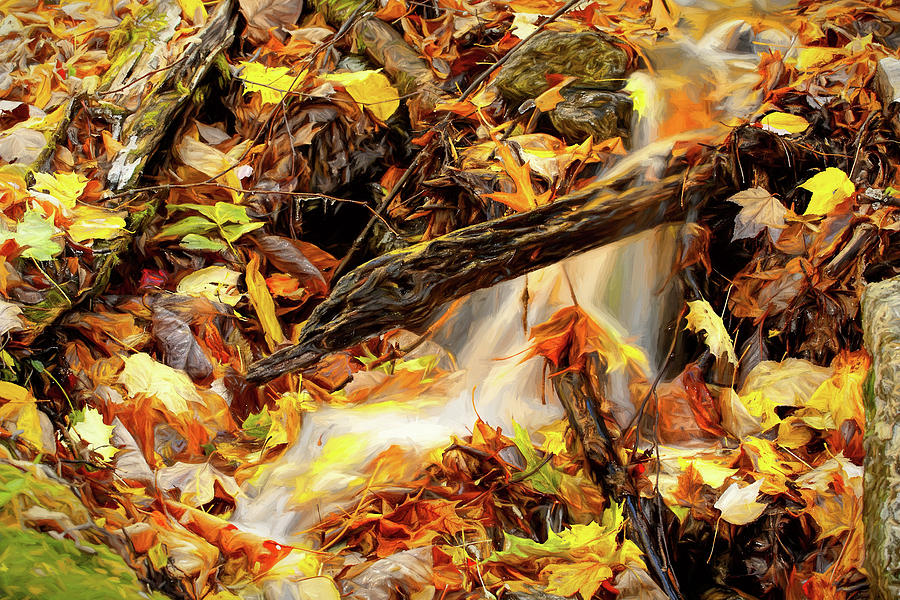 Autumn Water Flow 1 Photograph by Dan Carmichael