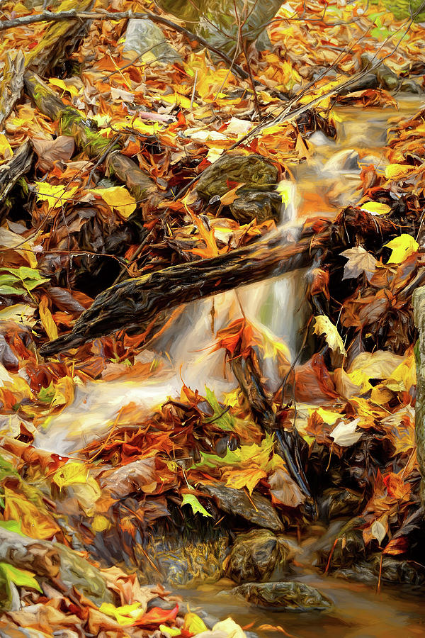 Autumn Water Flow 2 Photograph by Dan Carmichael