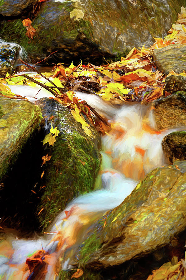 Autumn Water Flow 5 Photograph by Dan Carmichael
