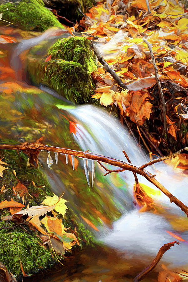 Autumn Water Flow 7 Photograph by Dan Carmichael