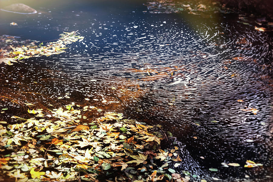 Autumn Water Reflections Photograph by Saija Lehtonen - Fine Art America
