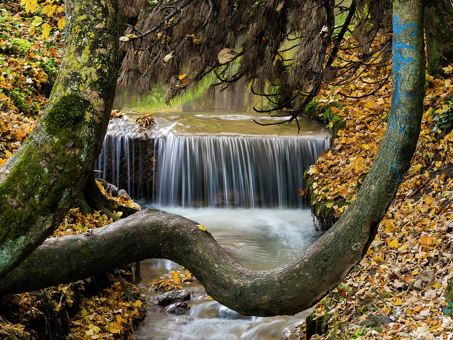 Fall Photograph - Autumn Waterfall in Brasov by Rae Tucker