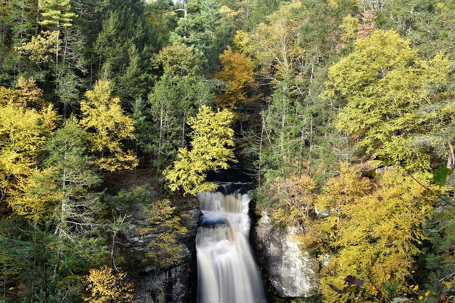 Autumn Waterfall Photograph by Rose Guinther