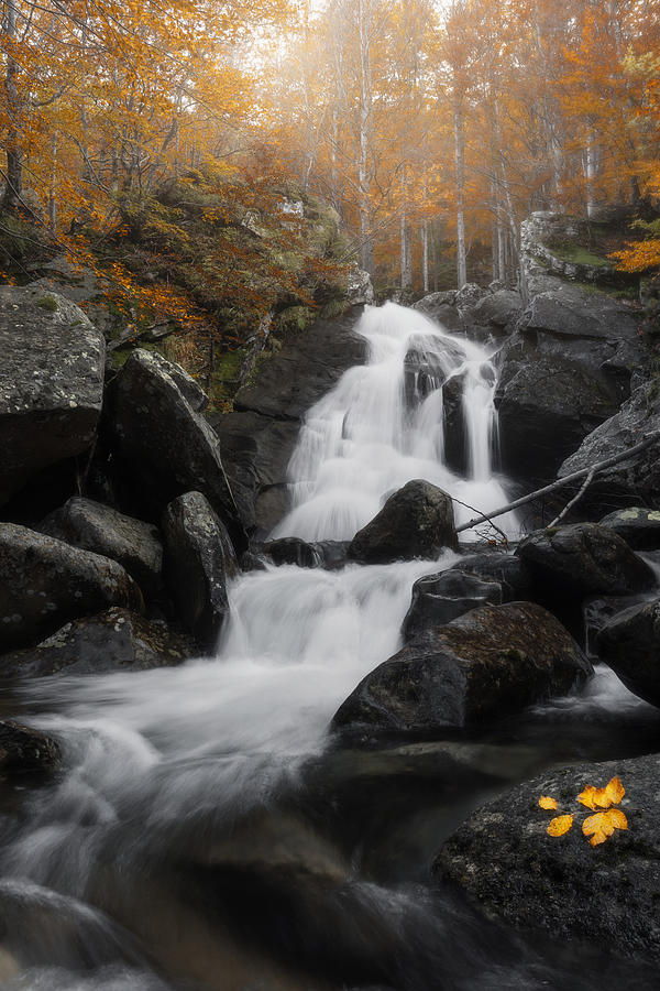 Autumn Waterfall Photograph by Samer Asad