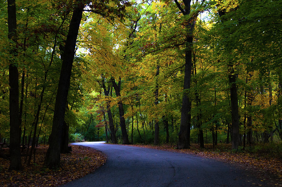 Autumn Way Photograph by Romeo Banias