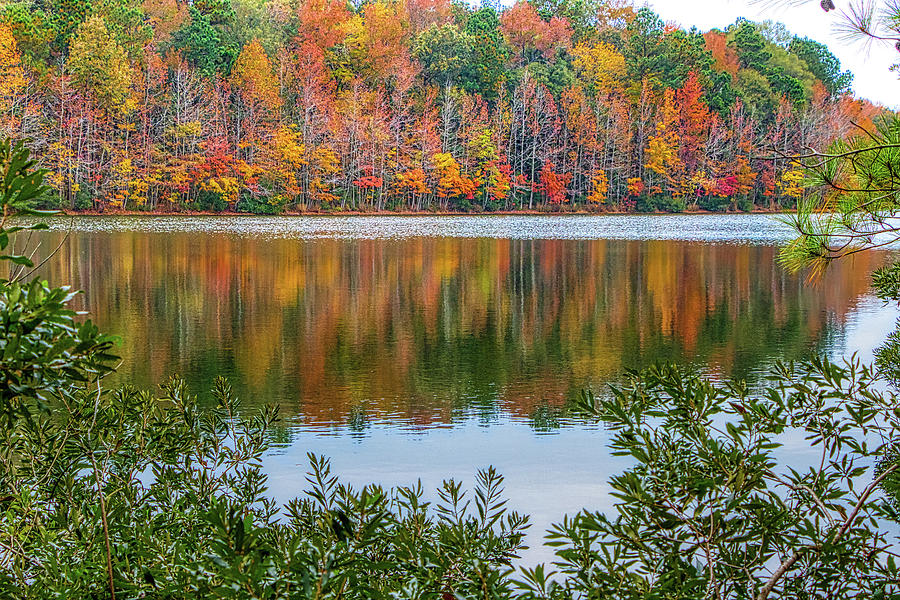 Autumn Woodland Along Crystal Lake Photograph by Robert Anastasi