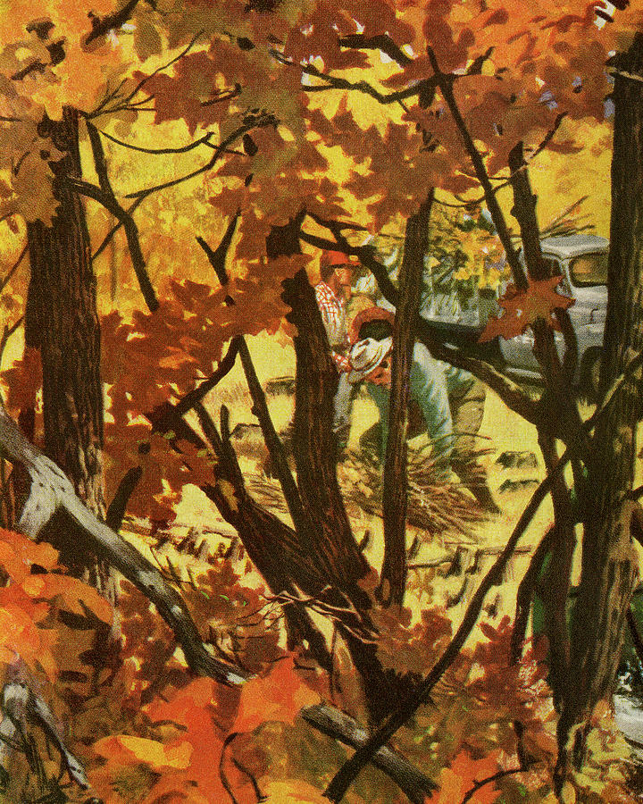 Fall Drawing - Autumn Woods by CSA Images
