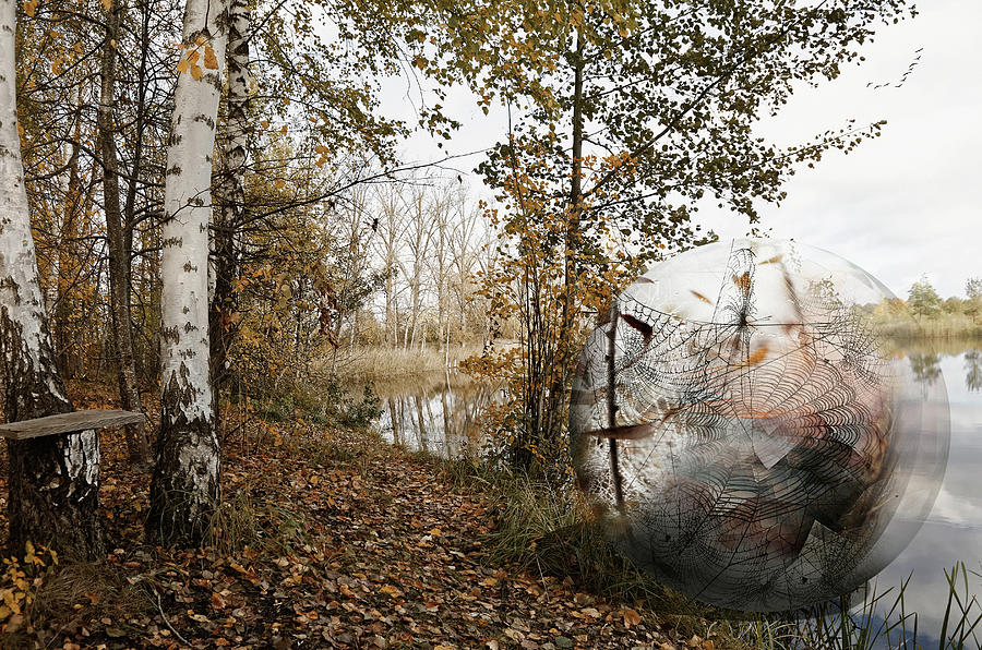 Autumnal/ Project Seasons Mixed Media by Aleksandrs Drozdovs