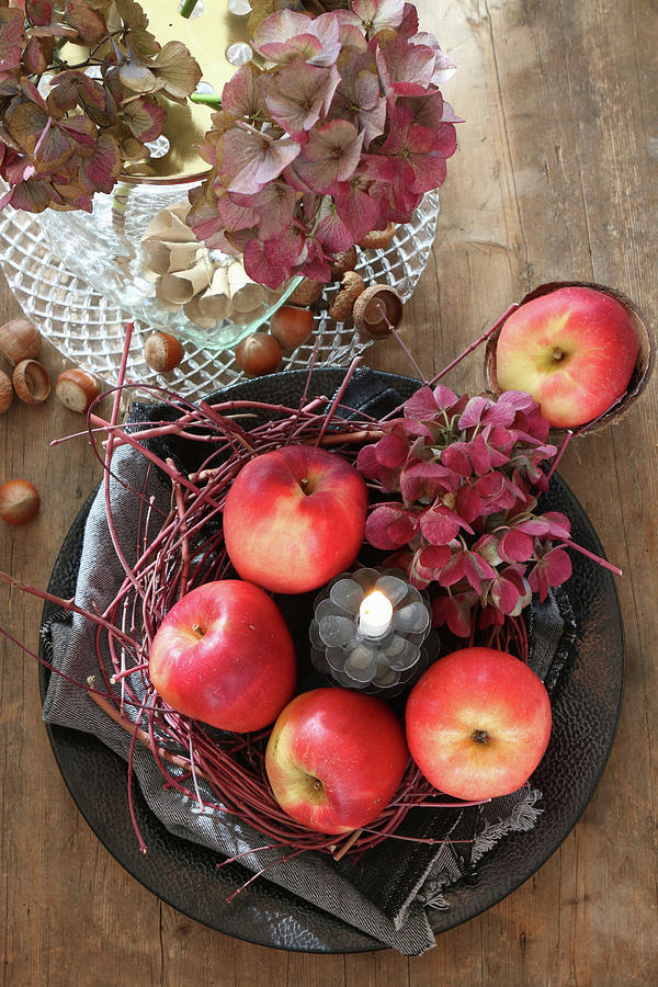 Autumnal Arrangement Of Apples, Twigs, Hydrangeas And Candle Photograph by Regina Hippel