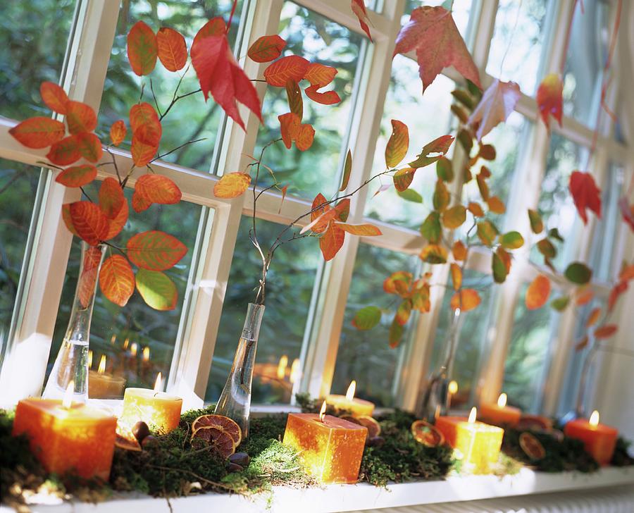 Autumnal Arrangement Of Leafy Branches, Moss And Candles On Windowsill Photograph by Matteo Manduzio