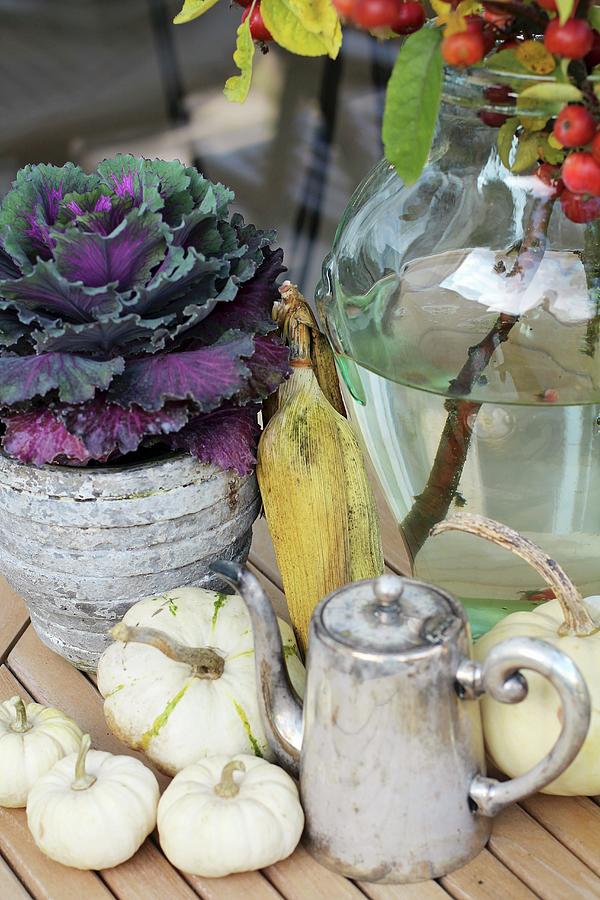 Autumnal Arrangement Of Ornamental Cabbage, Corn Cobs And Squashes Photograph by Erika Reetz