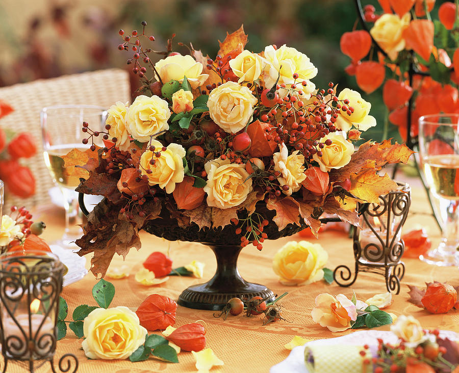 Autumnal Arrangement Of Roses And Rose Hips Photograph by Strauss, Friedrich