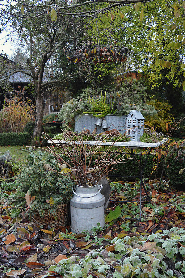 Autumnal Arrangement Of Zinc Containers And Basket Of Spruce Branches Photograph by Christin By Hof 9