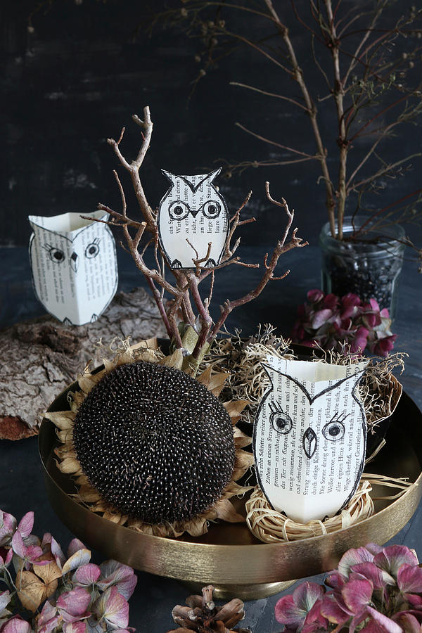Autumnal Arrangement With Dried Flowers And Owls Made From Book Pages Photograph by Regina Hippel