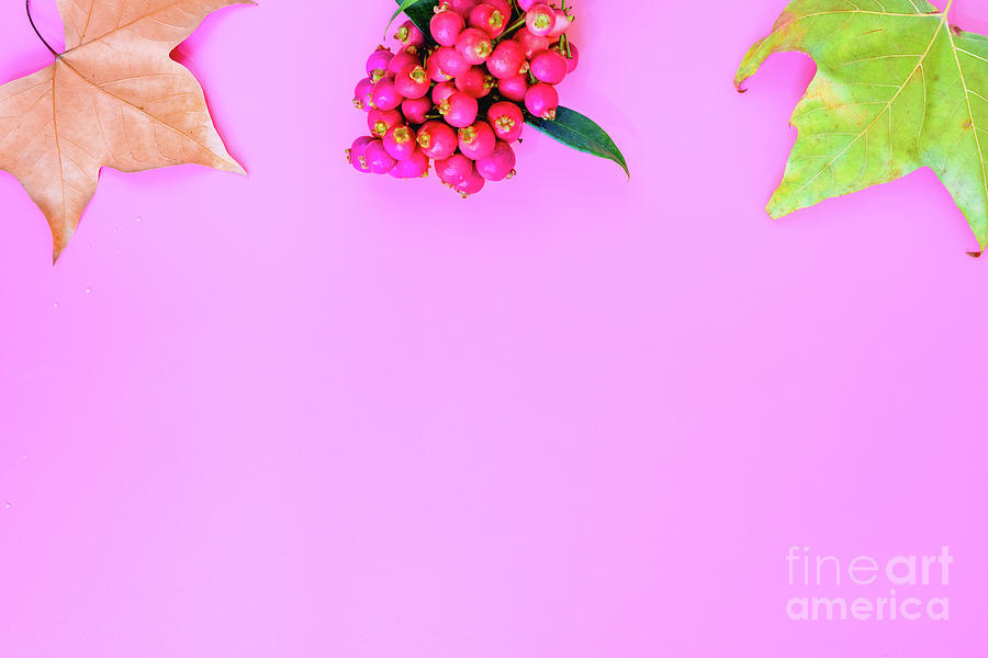 Autumnal background with maple leaves and brightly colored fruits. Photograph by Joaquin Corbalan