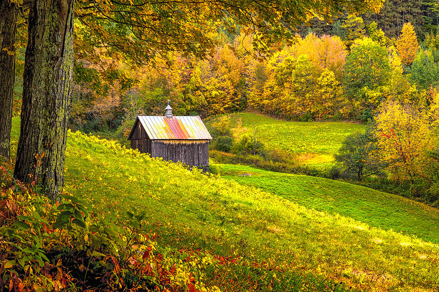 Autumnal Barn Photograph by Rod Best