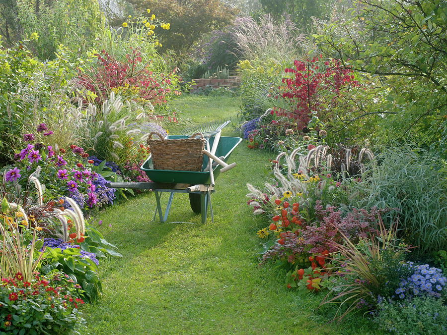 Autumnal Beds With Grasses, Perennials, Summer Flowers And Shrubs ...