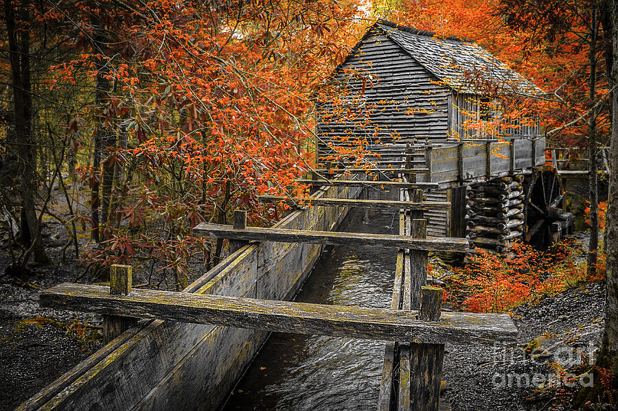 Autumnal Colors on the smoky mountain Photograph by Stefano Senise