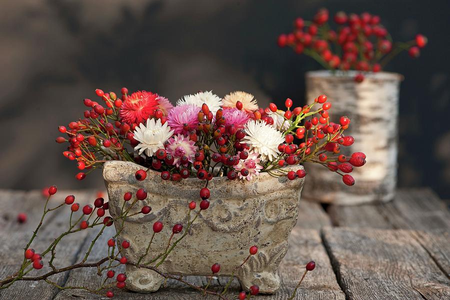 Autumnal Flower Arrangement With Rose Hips In Stone Bowl On Wooden Table Photograph by Elisabeth Berkau