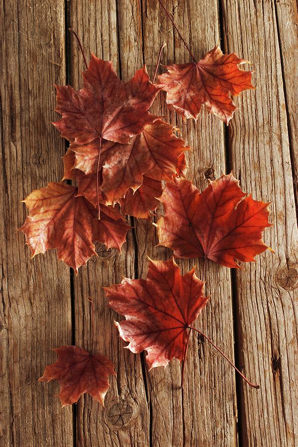 Autumnal Maple Leaves On Wooden Surface Photograph by Petr Gross