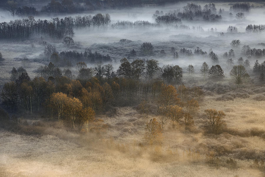 Tree Photograph - Autumnal Misty Dawn by Fiorenzo Carozzi