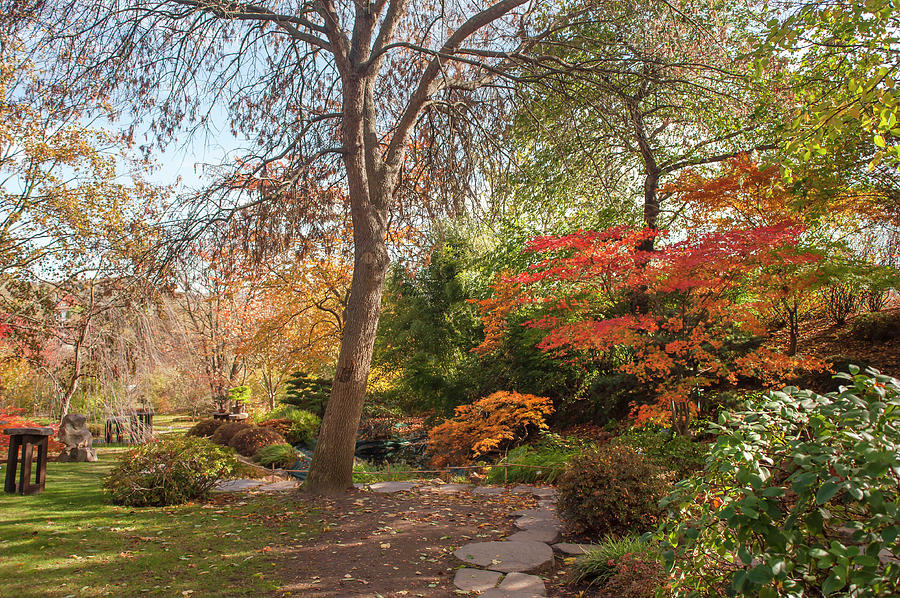 Autumnal Path Through Japanese Garden Photograph by Jenny Rainbow