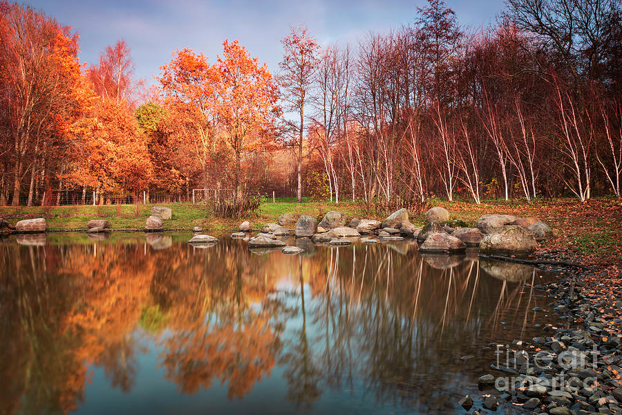 Autumnal pond reflections Photograph by Sophie McAulay