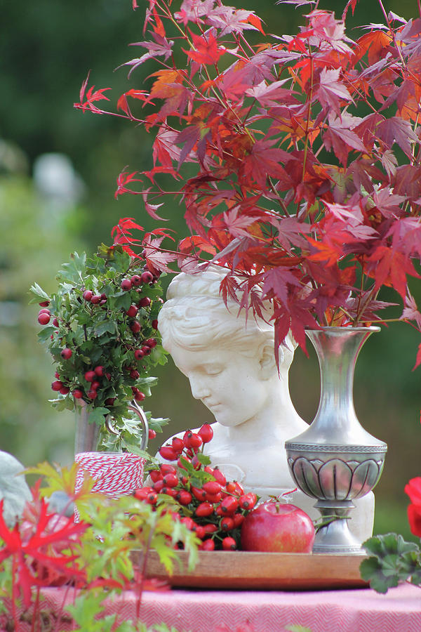 Autumnal Still-life Arrangement Of Ornamental Maple, Rose Hips And Bust Of A Girl In Garden Photograph by Hilda Hornbachner