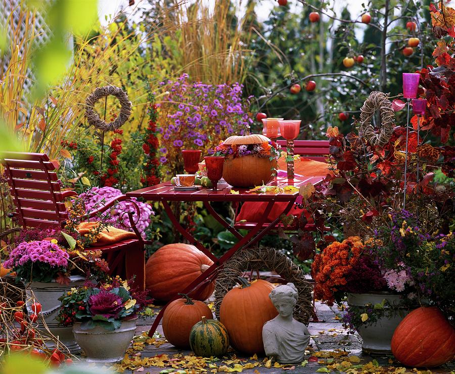 Autumnal Still-life With Pumpkins And Autumn Flowers Photograph by Friedrich Strauss