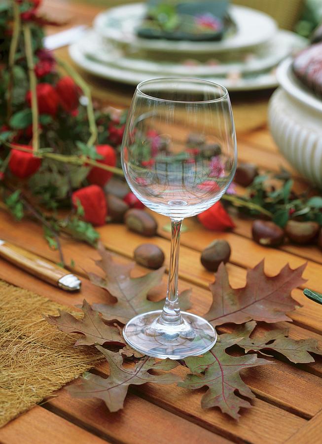 Autumnal Table Decoration: Oak Leaves Used As Coaster Photograph by Friedrich Strauss