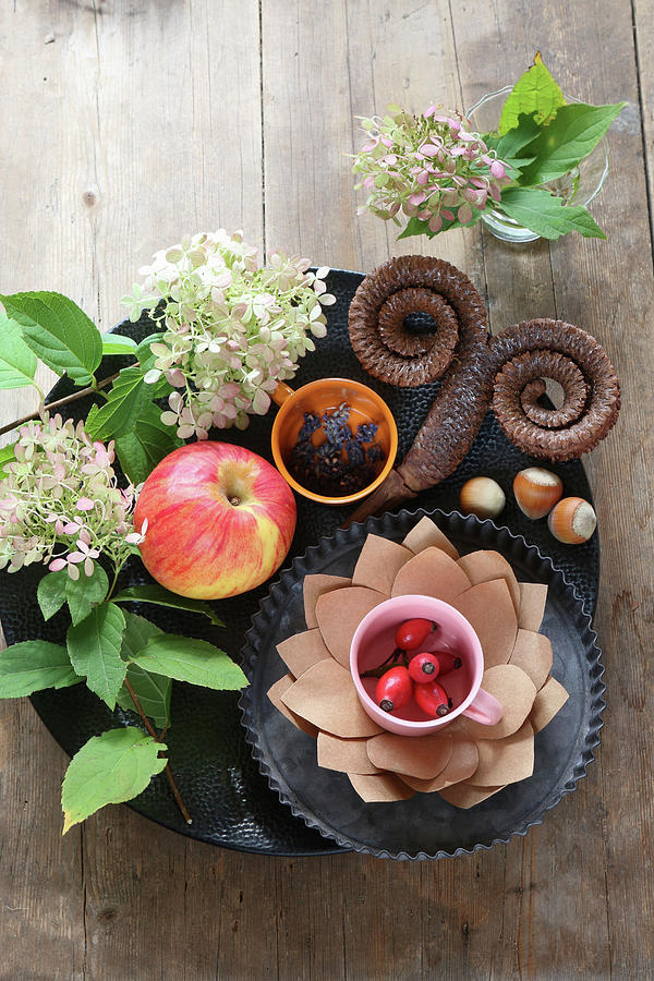 Autumnal Table Decoration Of Apples, Rose Hips, Hydrangeas And Pine Cone Curled Into Horns Photograph by Regina Hippel