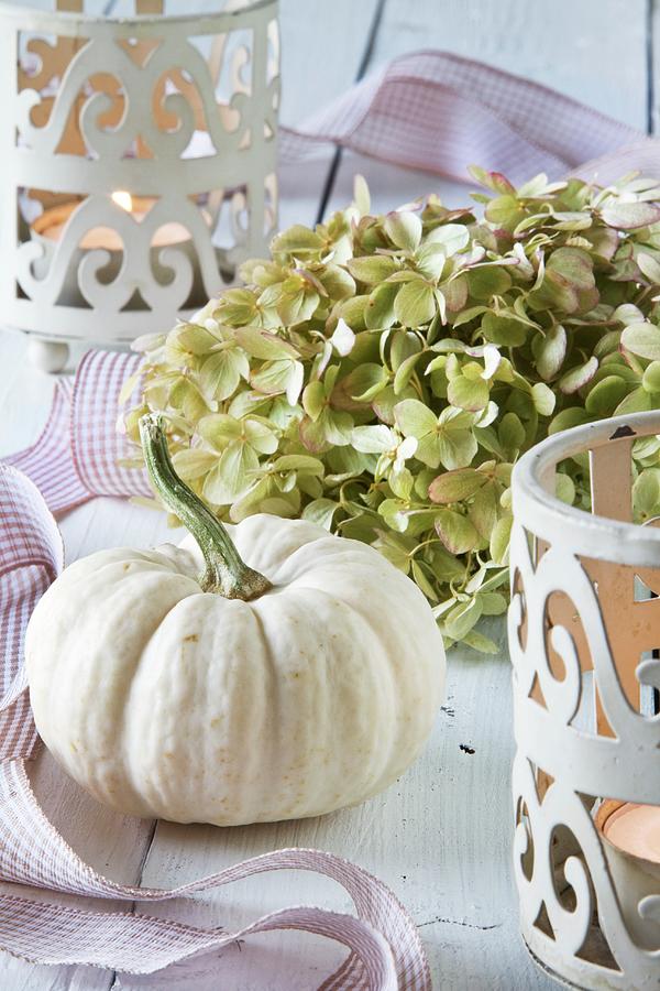 Autumnal Table Decoration With An Ornamental Squash And Hydrangea Flowers Photograph by Catja Vedder