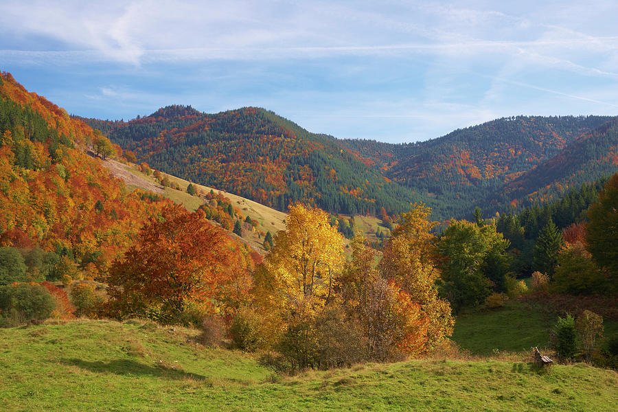 Autumnal Tint Near Todtnau - Präg, Black Forest, Baden-württemberg ...