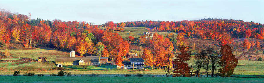 Fall Photograph - Autumnal Trees In Farm, Wilmington by Panoramic Images