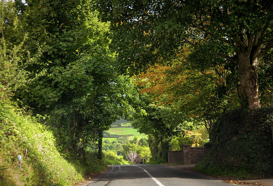 Autumnal Tunnel. Way to Sugarloaf Hill. Ireland Photograph by Jenny Rainbow