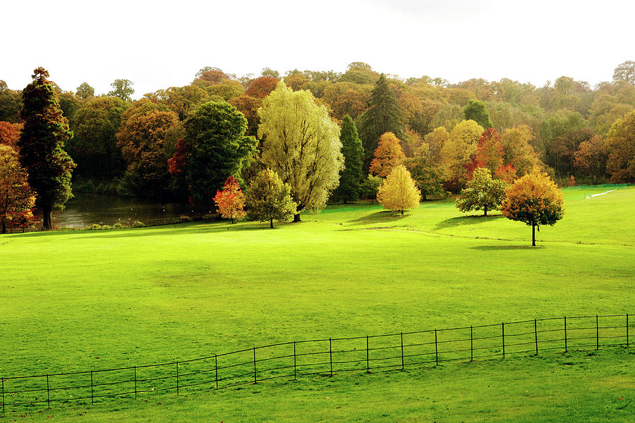 Autumnácolours On Hampstead Heath Photograph by Oliver Strewe Autumnácolours On Hampstead Heath Photograph by Oliver Strewe