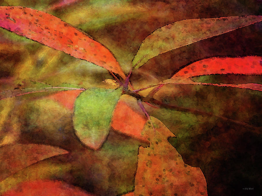 Autumns Abstract 6217 IDP_2 Photograph by Steven Ward