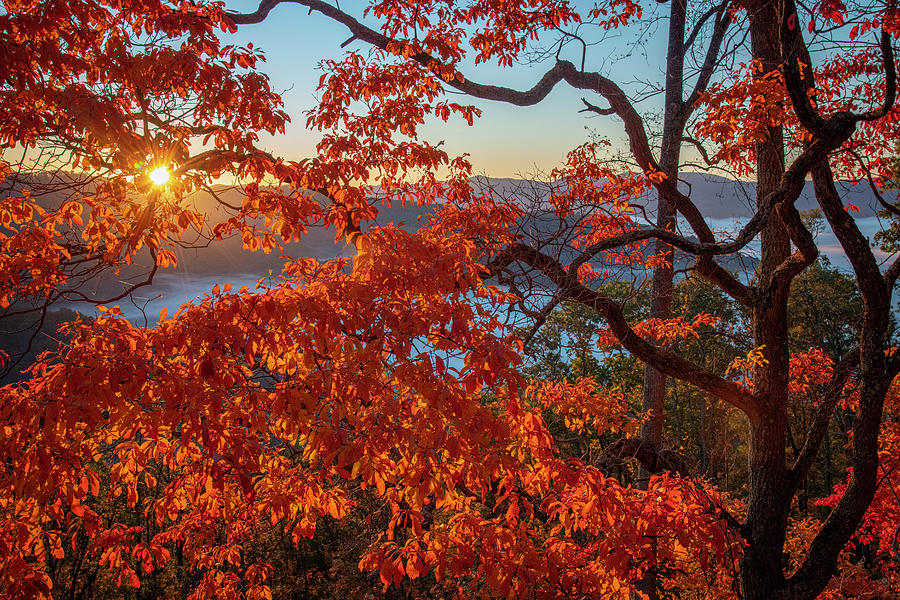 Autumns Beauty Photograph by Robert J Wagner
