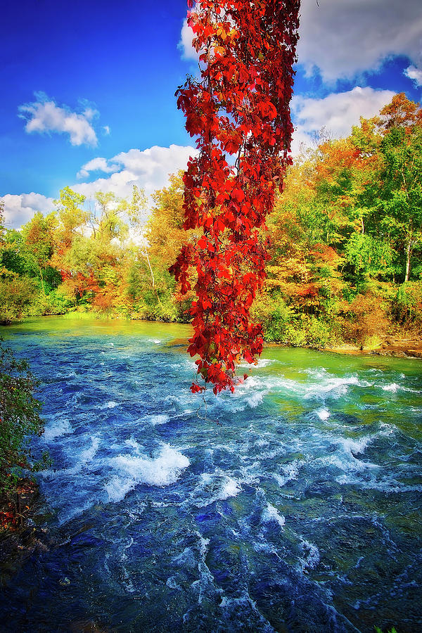 Autumns Flame - Niagara Falls, New York Photograph by Lynn Bauer