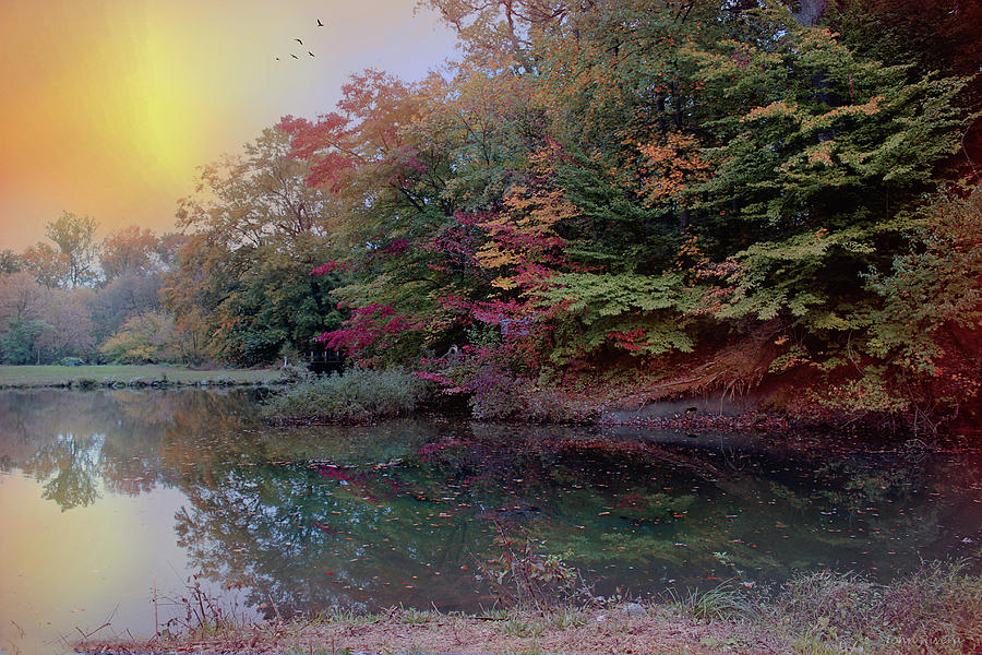 Autumns Morning Photograph by John Rivera